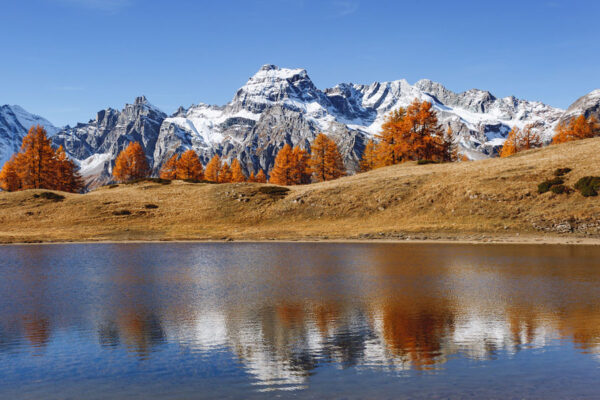 Alpintrekking Binntal - Alpe Devero