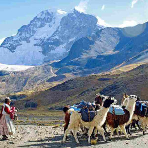 Bolivien Trekking 2025