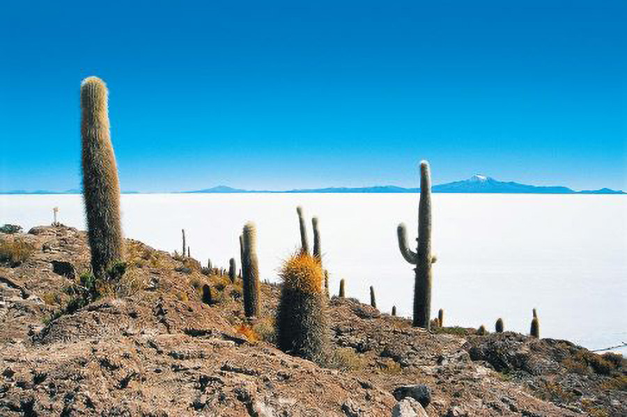 Guideallalin-Weltweit-bolivien02