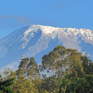 Kilimanjaro Trekking - Safari - Zanzibar