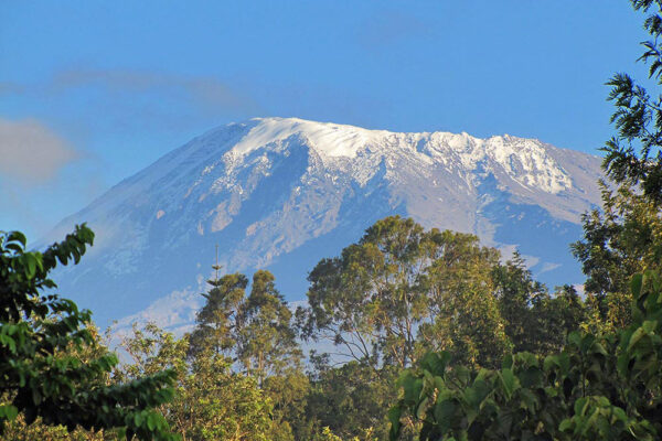 Kilimanjaro Trekking - Safari - Zanzibar