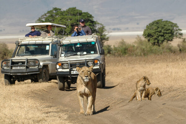 Kilimanjaro Trekking - Safari - Zanzibar – Bild 2